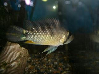 CIMG8321.JPG