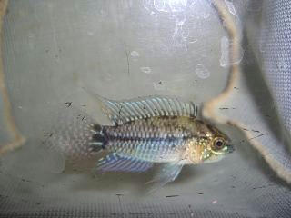 CIMG8372.JPG