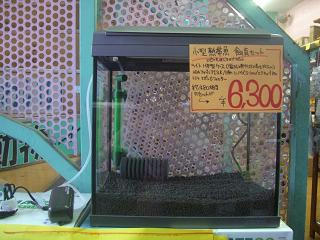 CIMG9110.JPG