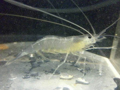 286355f0.jpg