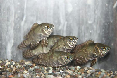 IMG_6912.JPG