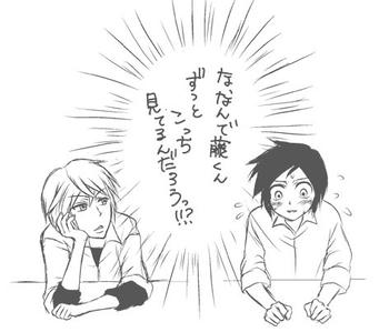 261_1.jpg