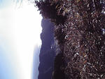 2011011609270000.jpg.jpg
