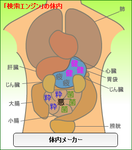 体内メーカー検索