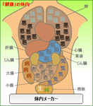 体内メーカー