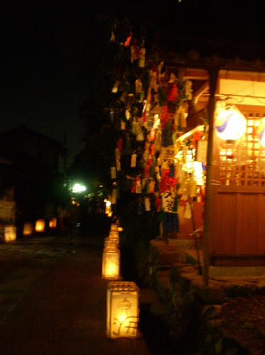 P8100035.JPG