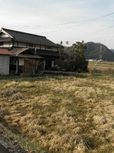 P3120003.JPG