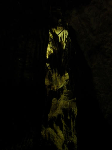 bd887f46.jpg
