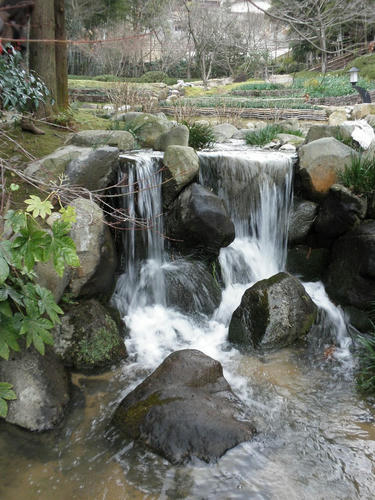 73f3329c.jpg