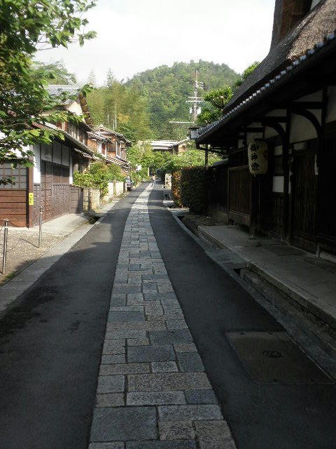 P5260031.JPG
