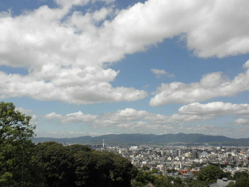 P8020022.JPG