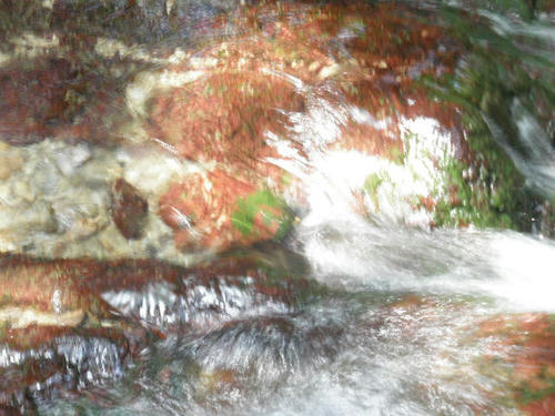 P1010066.JPG