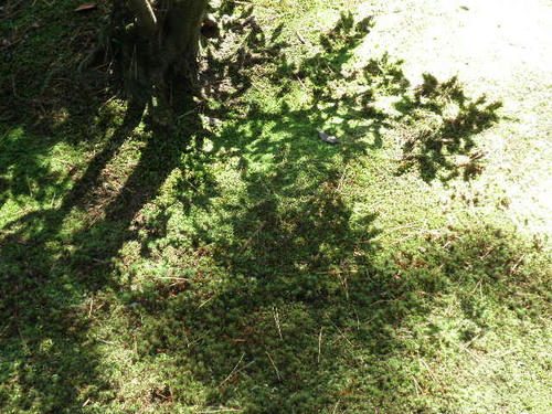 P1010113.JPG