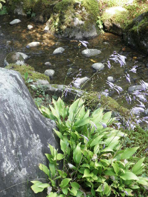 P1010155.JPG