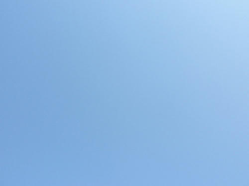 P1010283.JPG