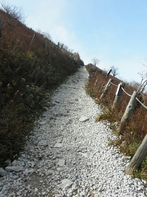 P1010118.JPG