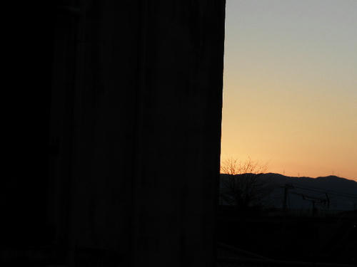 P1010017.JPG