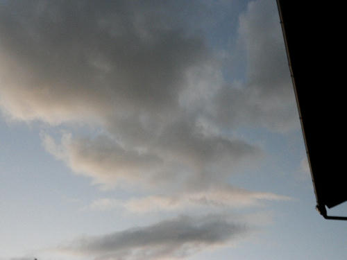 P1010045.JPG