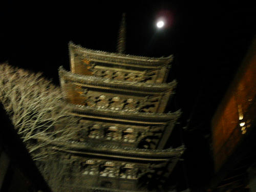 P1010037.JPG