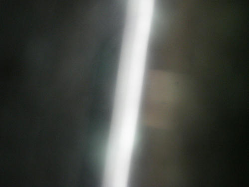 P1010060.JPG
