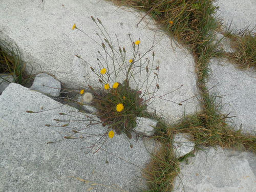 DSCN1859.JPG