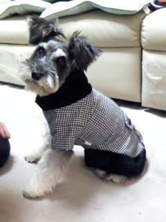 Image048.jpg