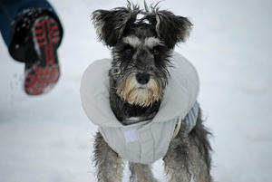DSC_0128_edited-2.jpg