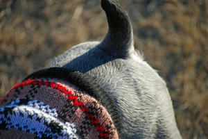 DSC_0217_edited-1.jpg