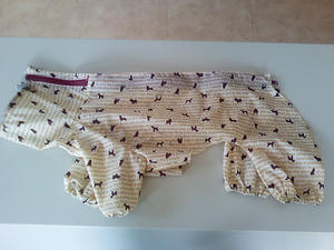 Image222a.jpg