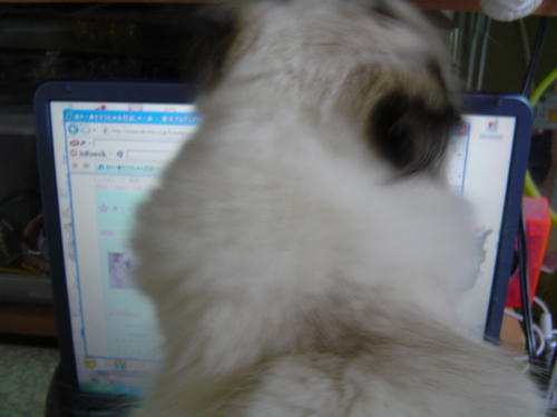 パソコンの上