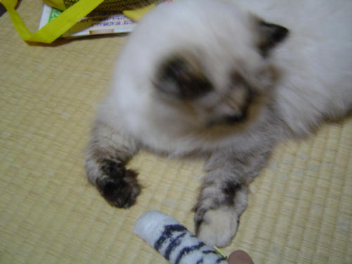 なんかちょっと･･････
