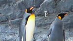 200805170842001.jpg
