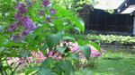200805241118000.jpg