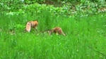 200805271046001.jpg