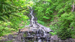 200805261110000.jpg