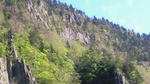 200805280725000.jpg