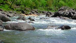 200805281022000.jpg