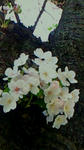 200904101224000.jpg