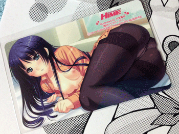 nikki_H24.5.25.gif