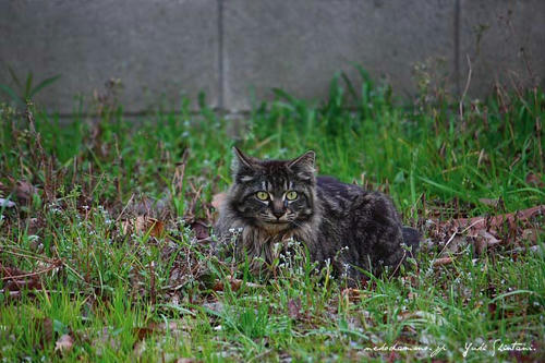 IMG_002098sl.jpg