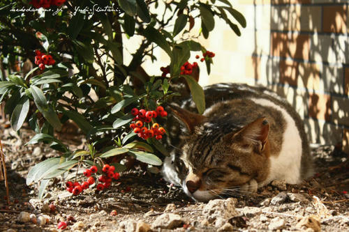 IMG_000510sll.jpg