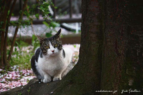 IMG_04197sl.jpg