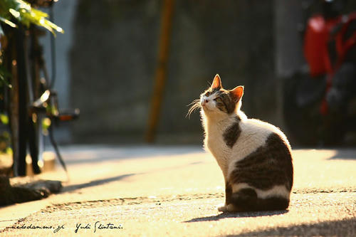 IMG_05076sl.jpg