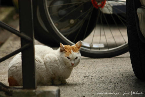 IMG_05513sl.jpg