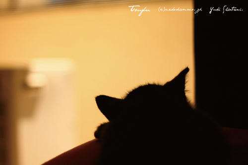 IMG_08354sl.jpg