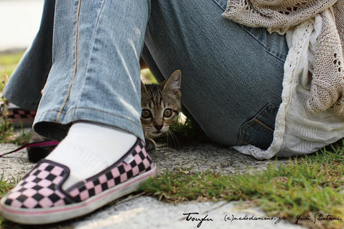 IMG_12642sl.jpg