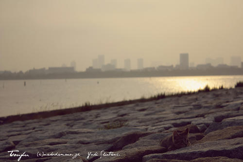 IMG_12791sl.jpg