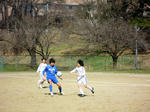 DSCN0252.JPG