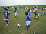 DSCN0631.JPG
