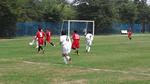 PAP_0027.JPG